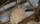 Photo Free Photos